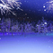Winter　Shower