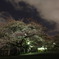 夜桜＠九段下２