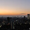 世界貿易センタービルからの夕景