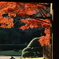 紅の門