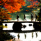 晩秋の六義園にて..＃1