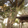 神社
