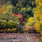 龍安寺　架け橋