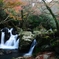 晩秋の尼ン滝2015