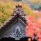 聖宝寺と紅葉