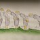 DSC_0079[1]