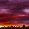 12月11日　夕暮れ時２