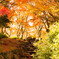 水元公園