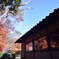 紅葉（山小屋）2