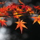 紅葉３