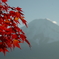 富士と紅