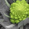 屋上の野菜