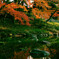 小石川後楽園　