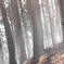 hike