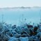 Ｂｌｕｅ　ｍｏｒｎｉｎｇ