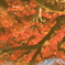 Artery
