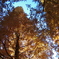 上野公園　お散歩日和5