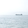 春の海