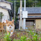 行くけんね～