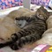 眠くなってきたなぁ～