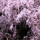 image094