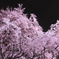 image025