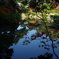 水面の庭園