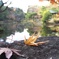 日比谷公園