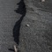 海 砂浜ヒストグラム