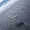 海 砂浜 足跡