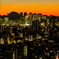 Twilight Tokyo..
