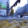 落ち葉の交差点
