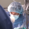 Animal hospital - OP