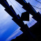 PSX_20151124_120933