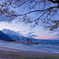 2015 冬 別府湾SUNSET.