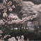 さくら日和
