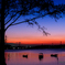 Twilight 手賀沼..＃2
