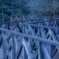 公園 橋 角