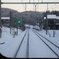 DSCF0357