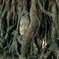 Buddha of the tree