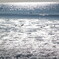 冬の海