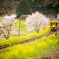 いすみ鉄道