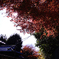 15:12:19 Tokyo Mejiro