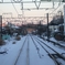 DSCF0353