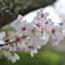 AF-S NIKKOR 24mm F1.4G ED