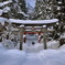 雪恋しく