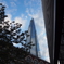 The shard