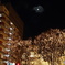 DSC00041