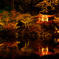 ２０１５年紅葉　其の弐　〜ライトアップの醍醐味〜