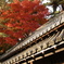 番所と紅葉
